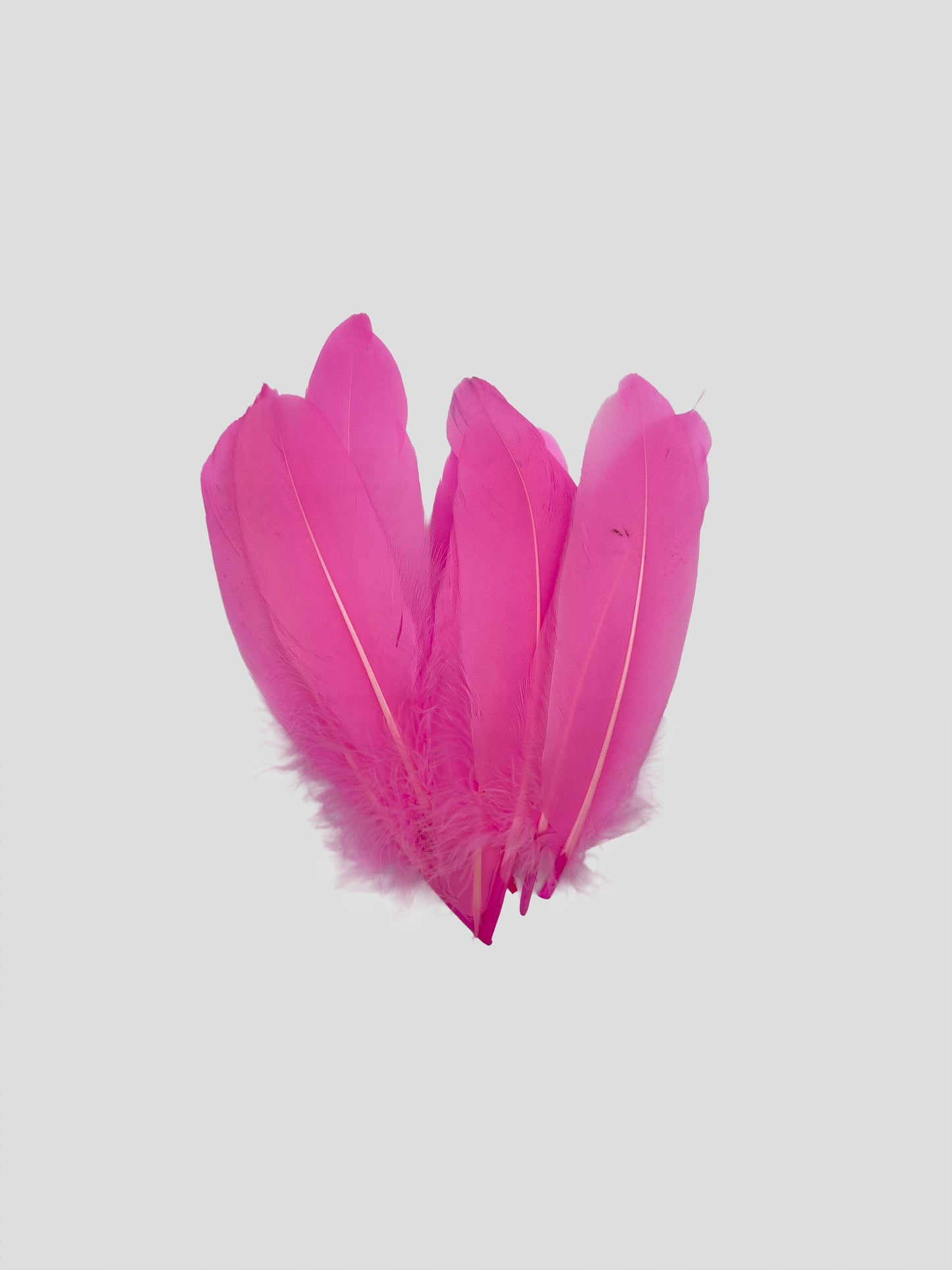 Nageoires 16-20cm helroze