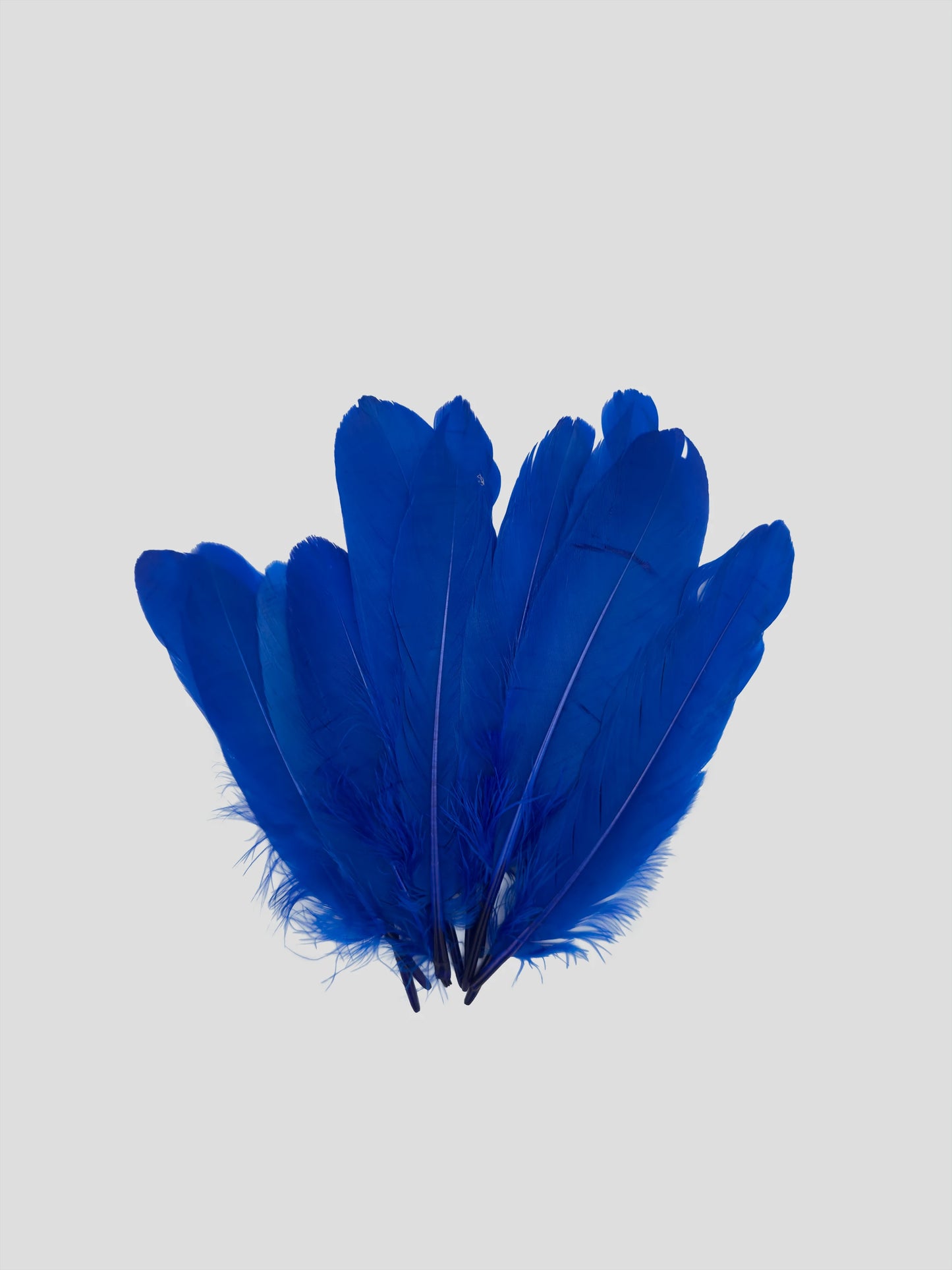 Nageoires 16-20cm koningsblauw