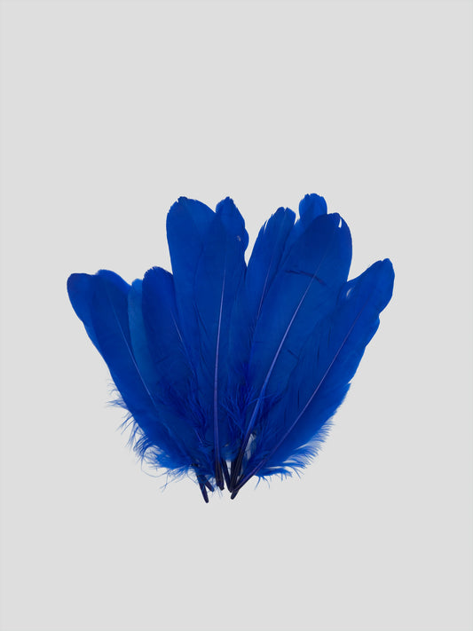 Nageoires 16-20cm koningsblauw