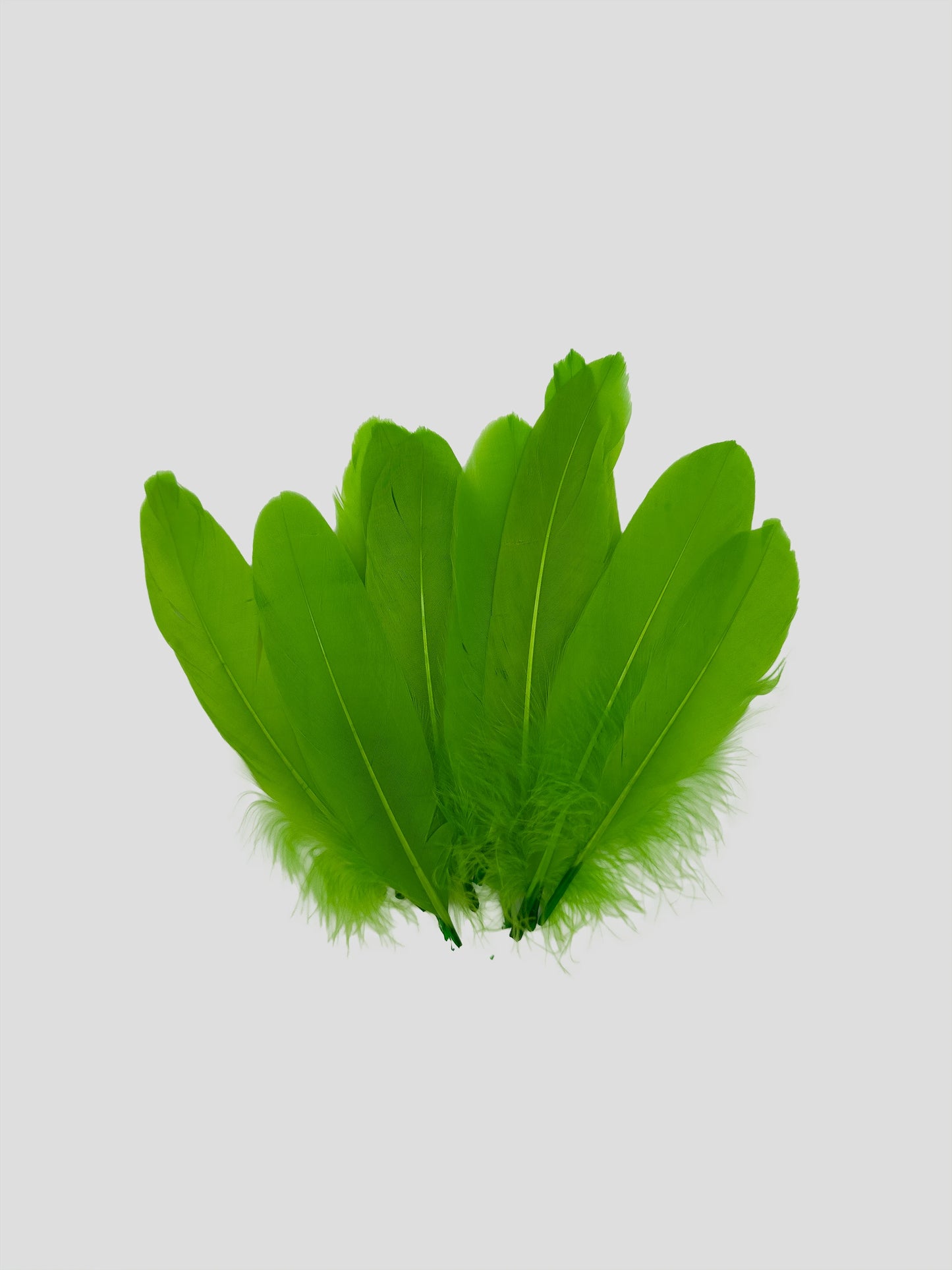 Nageoires 16-20cm lichtgroen