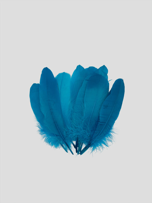 Nageoires 16-20cm turkoois