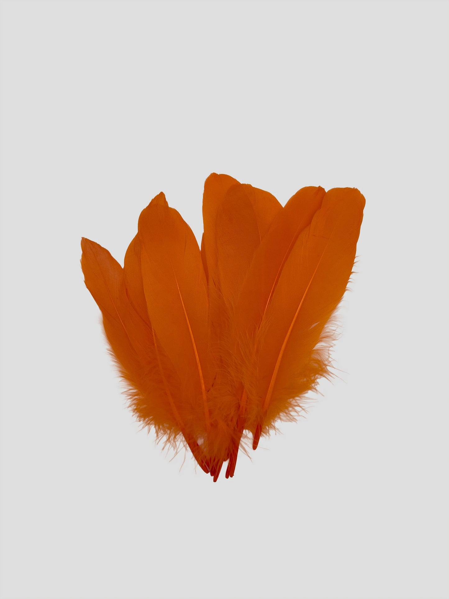 Nageoires 16-20 cm oranje