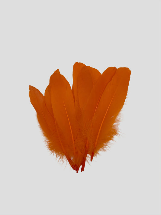 Nageoires 16-20 cm oranje