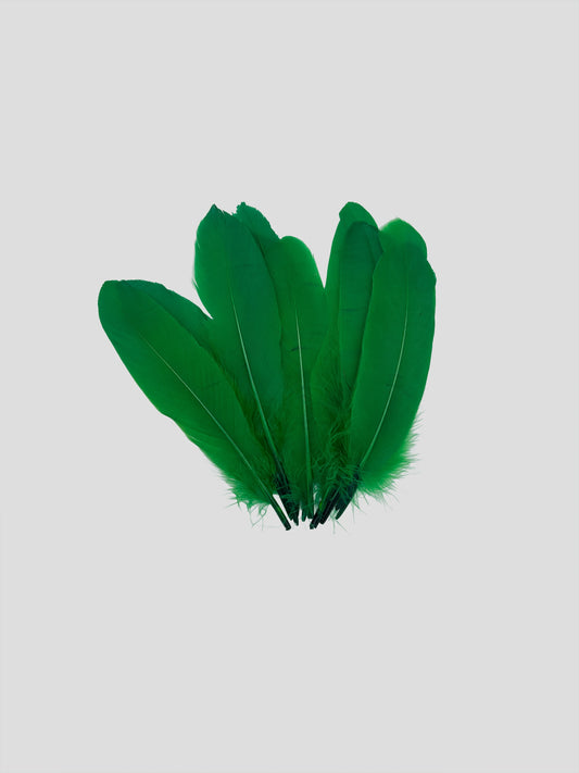 Nageoires 16-20cm groen