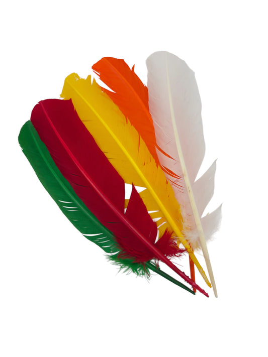 Plumas de ganso 25-30cm mezcla