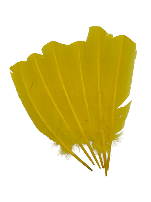 Plumas de ganso 25-30cm amarillo primavera