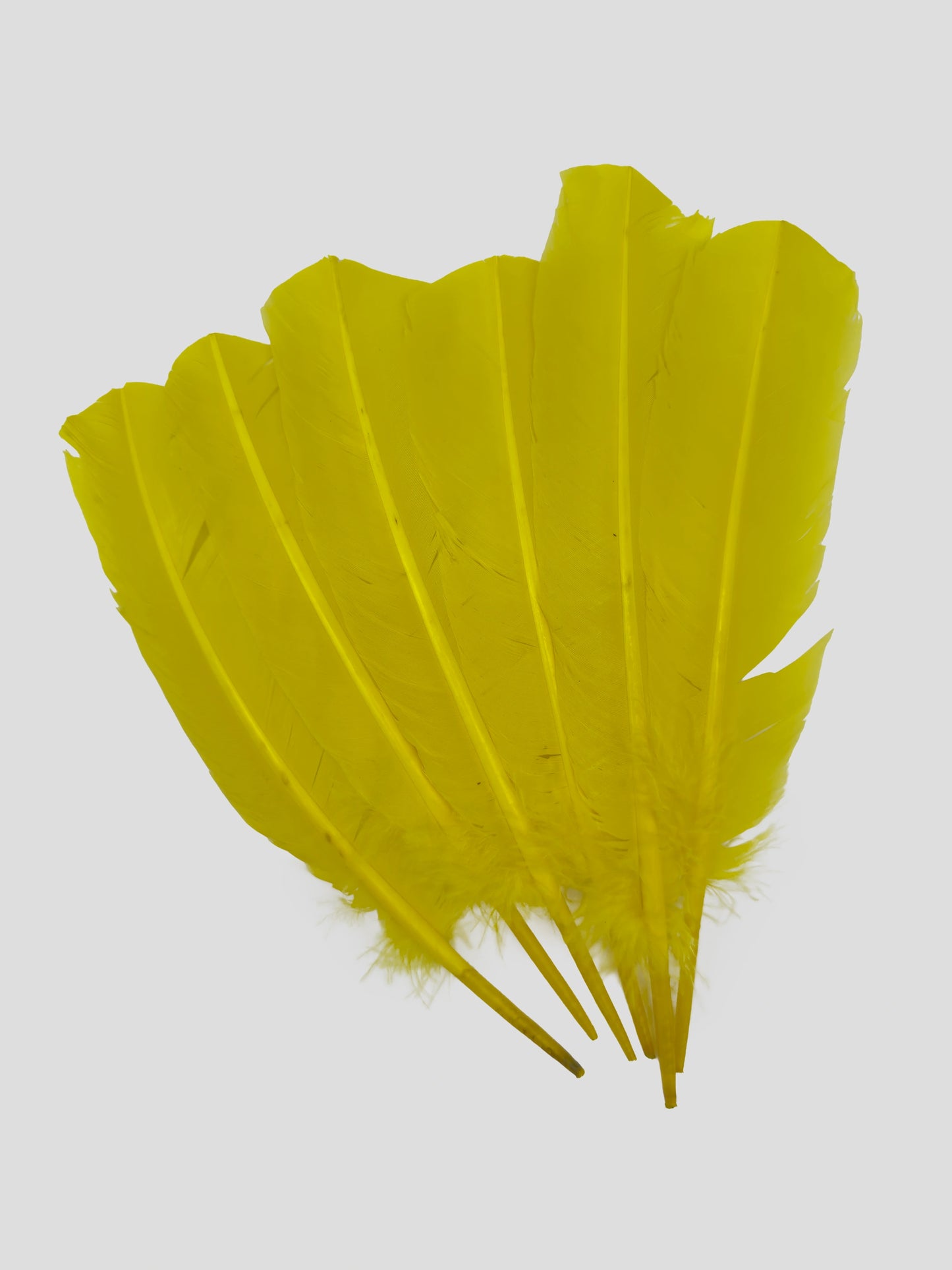 Quills 25-30cm paasgeel