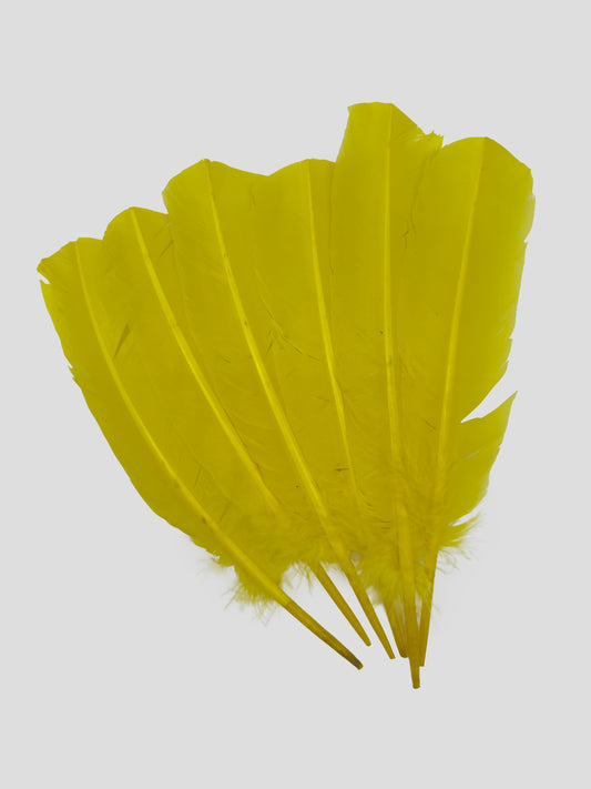 Quills 25-30cm paasgeel
