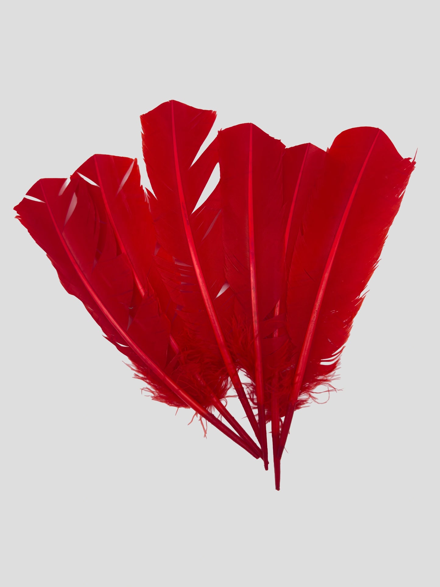 Penne d'oca 25-30cm rosso pomodoro