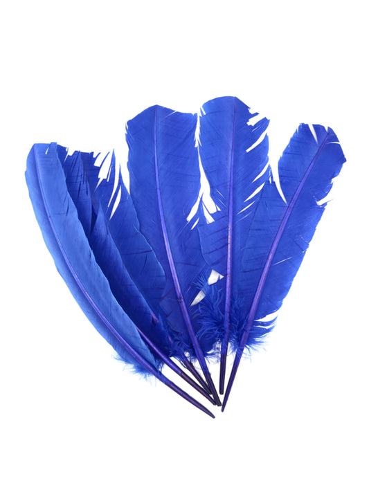 Plumas de ganso 25-30cm azul real