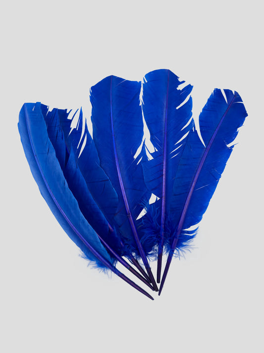 Quills 25-30cm koningsblauw
