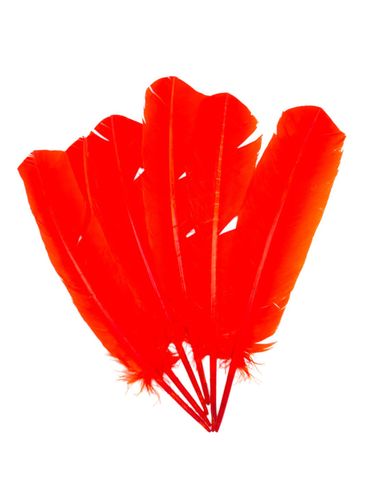 Plumas de ganso 25-30cm naranja
