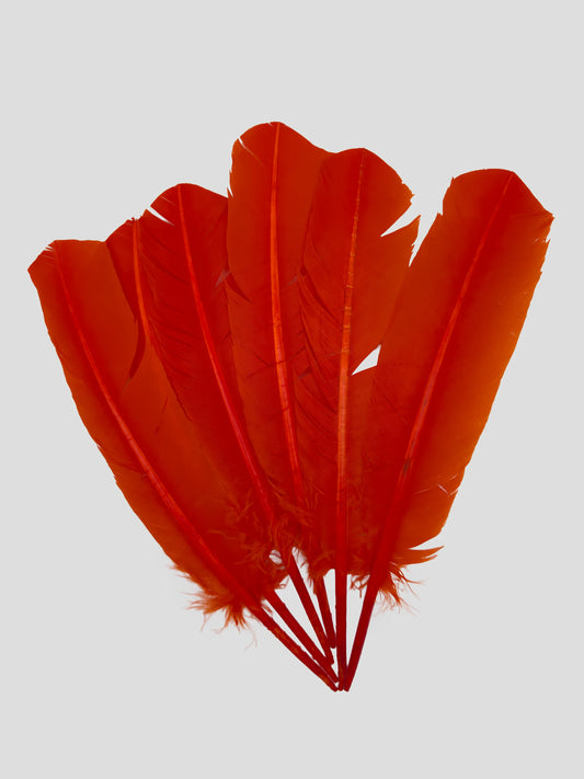 Quills 25-30cm oranje