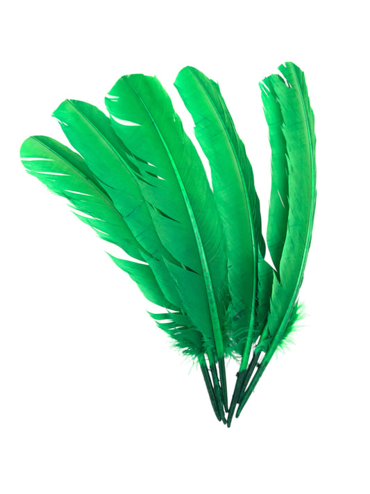 Plumas de ganso 25-30cm verde