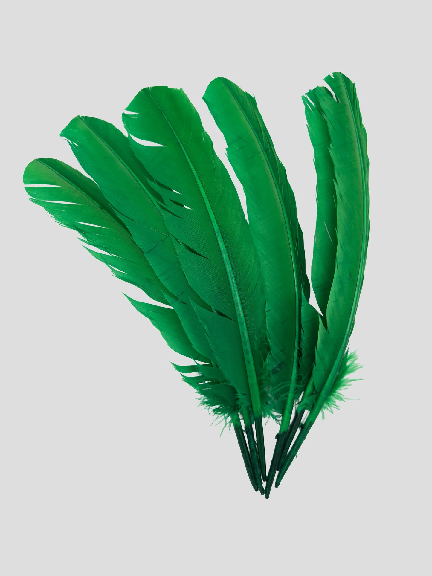 Quills 25-30cm groen