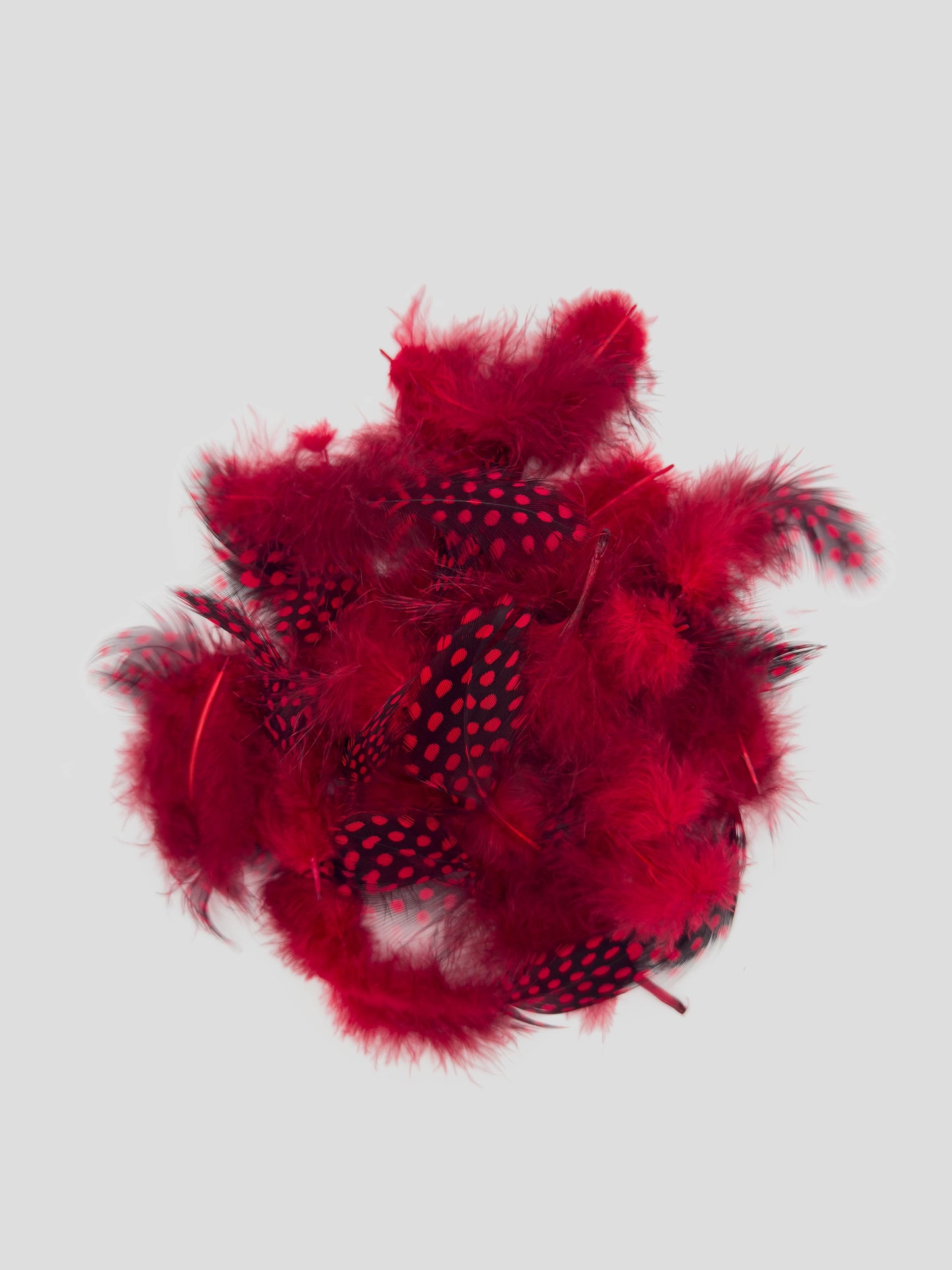 Faraona rosso pomodoro