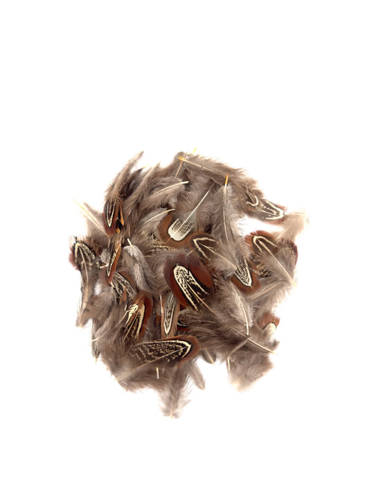 Plumas de faisán naturales (1,5g)