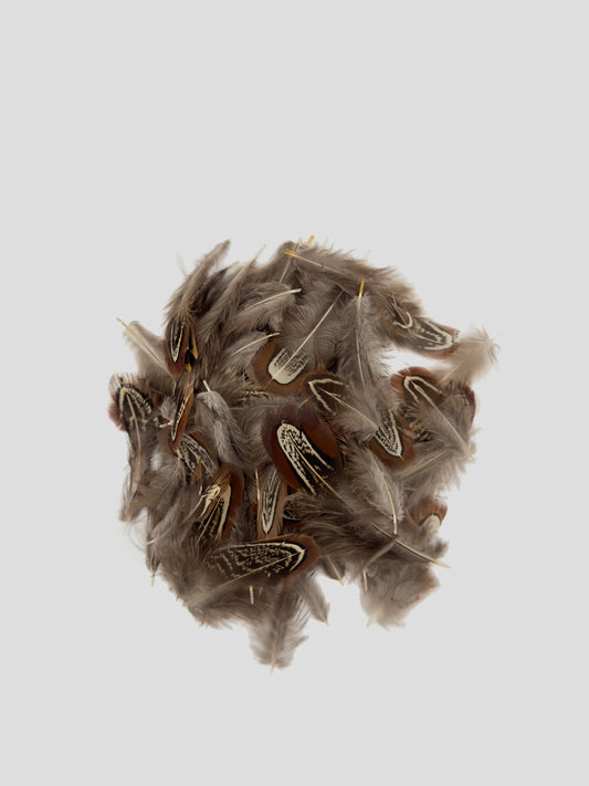 Fazantenveertjes natuur (1,5g)