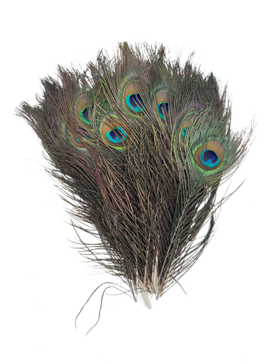 Pavo real naturaleza 25-30cm