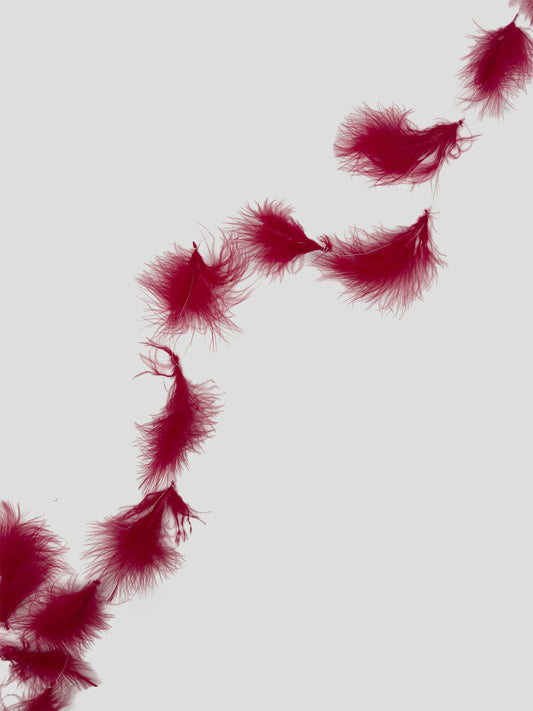 Guirlande Marabou 220cm tomatenrood