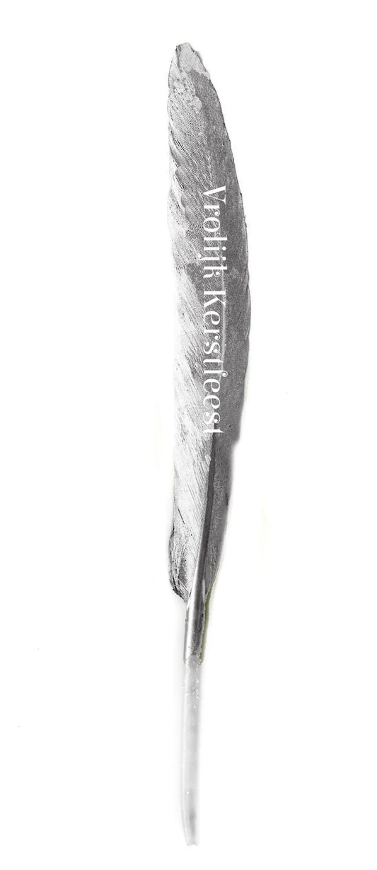 Pluma con deseo "Feliz Navidad" plata 13-15cm