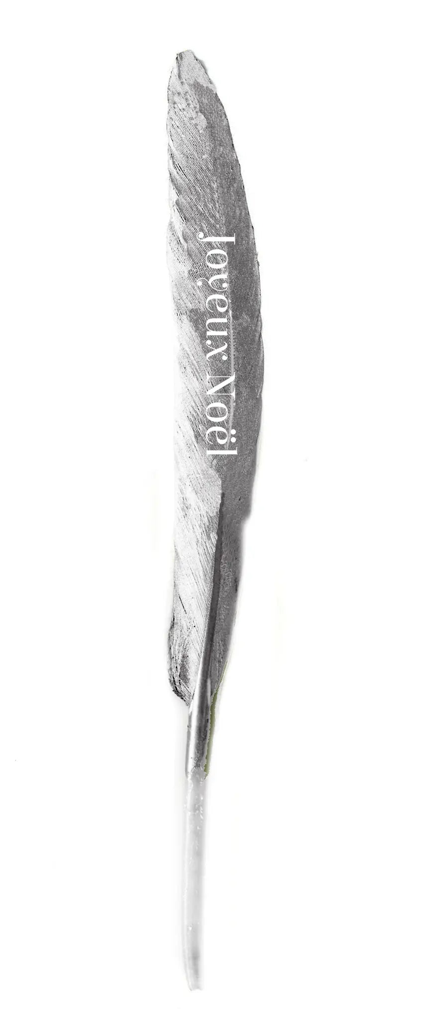 Pluma con deseo "Joyeux Noël" plata 13-15cm