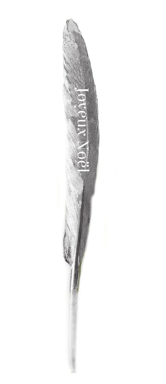 Pluma con deseo "Joyeux Noël" plata 13-15cm